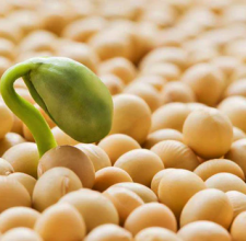 5df2d7c3fad9133fb62e22da_5df2d740d389686df519fdc9_phosphatidyl_food_source_5B1_5D_489abb76-db85-4ad7-a19e-d88fcdafb43f