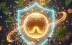 Gemini_Generated_Image_lpvk95lpvk95lpvk.jpg
