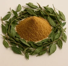 Gymnema Sylvestre (EGCG Concentrate)