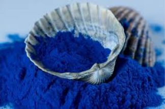 Japanese Blue Spirulina