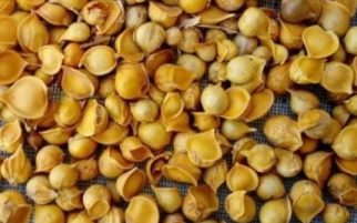 xhealthbenefitsofsingleclovegarlic-ccexpress_24022022111219.jpeg.pagespeed.ic.tbR6JsT3A1