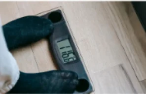 Captura de tela 2025-10-28 151905 Captura de tela 2025-10-28 151905