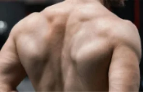 Captura de tela 2025-10-28 151945 Captura de tela 2025-10-28 151945