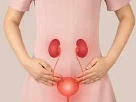 pelvic8-org